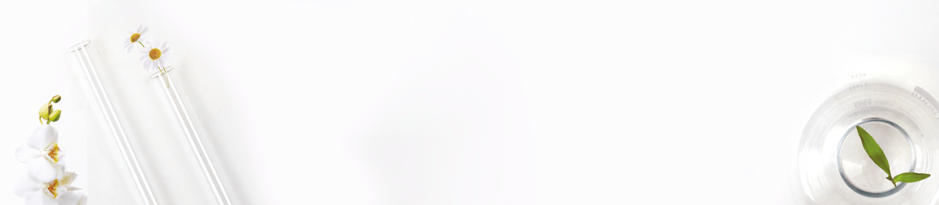 Dermaelia_0007_fONDO